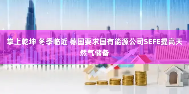 掌上乾坤 冬季临近 德国要求国有能源公司SEFE提高天然气储备